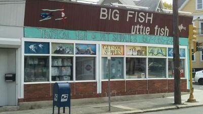 Big Fish Little Fish Pet Store Pet Shop Somerville MA